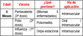 desde 2 hasta 4 meses de vida